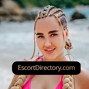 Alisa Vip Escort escort in 