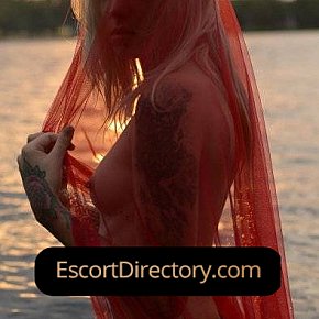 Ariana Vip Escort escort in Berlin offers Titjob services