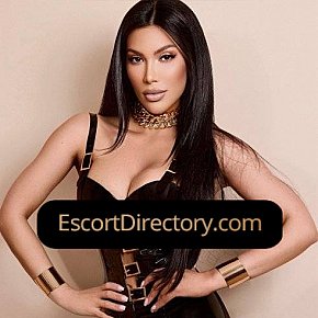 Kiara Vip Escort escort in London offers French Kissing services