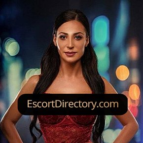 Lisa escort in Basel offers Blowjob without Condom services