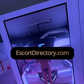 Karina Vip Escort escort in  offers Ejaculação no rosto services