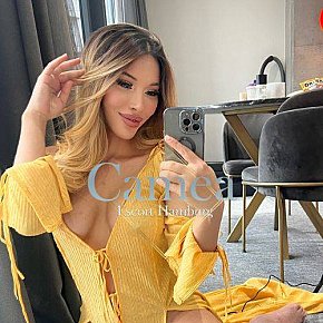 Nikila escort in Hamburg offers Beijar services