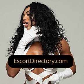 Mulata Vip Escort escort in Berlin offers Sega services