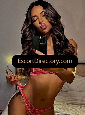 Rosy Vip Escort escort in Budapest offers Cumshot on body (COB) services