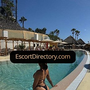 Saray Vip Escort escort in Zagreb offers Masturbate services