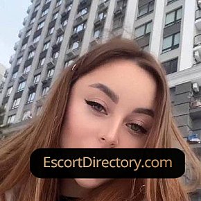 Adelina Vip Escort escort in Tirana offers 69 Position services