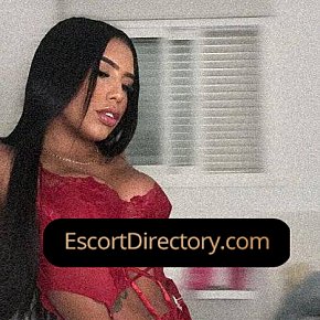 Dulce Vip Escort escort in Frankfurt offers Blowjob without Condom services