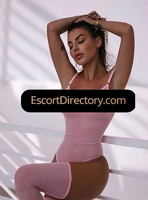 Diana Vip Escort escort in Warsaw offers Blowjob without Condom Swallow services