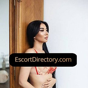 Nikol Vip Escort escort in Brussels offers Masturbate services