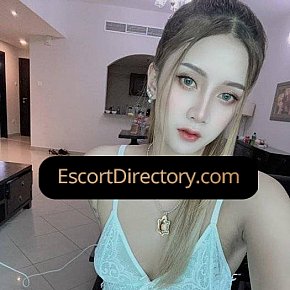 Sara Vip Escort escort in Dubai offers Blowjob without Condom services