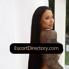 Alina Vip Escort escort in Prague offers Cumshot on body (COB) services