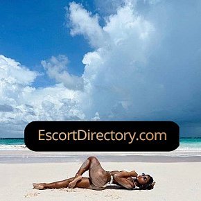 Sara Vip Escort escort in Budapest offers Sex in Different Positions services