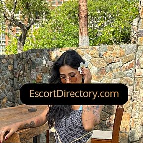 Linya Vip Escort escort in  offers Handjob services