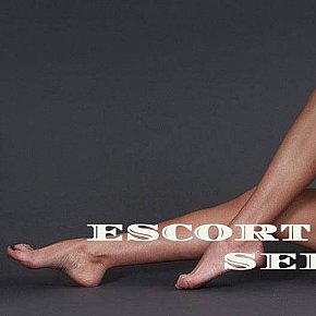 Eliza-Escort-Warsaw Fitness Girl
 escort in Warsaw offers French Kissing services