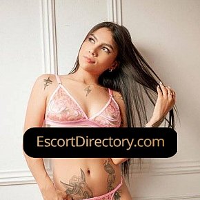 Camila Vip Escort escort in  offers Mamada sin condón
 services