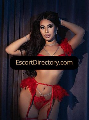 Aysha escort in St. Moritz offers BDSM services