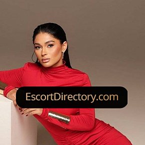 Layla Vip Escort escort in London offers 69 Position services
