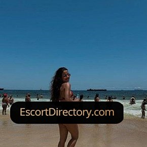 Saphira escort in Tournai offers Blowjob without Condom services