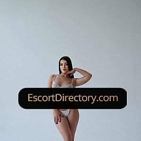 Alina Vip Escort escort in Riyadh offers Dirtytalk services