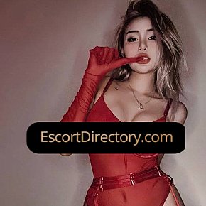 Melia Vip Escort escort in Dubai offers Erotic massage services