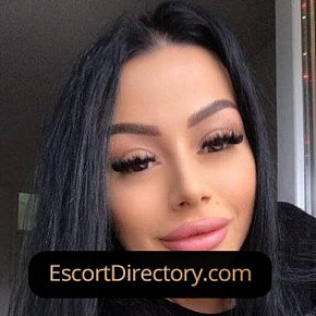 Amira Vip Escort escort in Bucharest offers 69 Position services