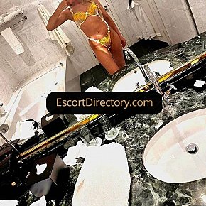 Elyza Vip Escort escort in  offers Finalizare pe Faţă services
