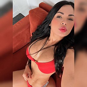 Sofia Delicada escort in 