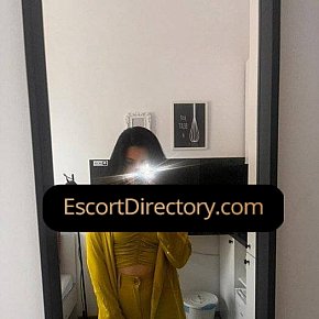 Elena Vip Escort escort in 