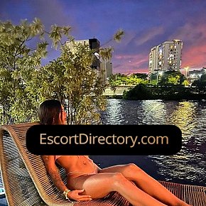 Angel escort in  offers Venida en la cara
 services