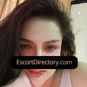 Vyvy Vip Escort escort in  offers Massagem erótica services