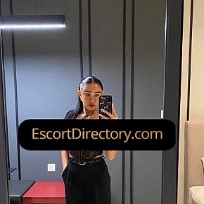 Polly Pequeña Y Delgada escort in  offers Venida en el cuerpo (COB)
 services
