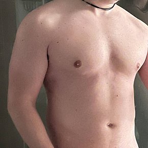 Marco escort in Cambridge offers Striptease/Lapdance services