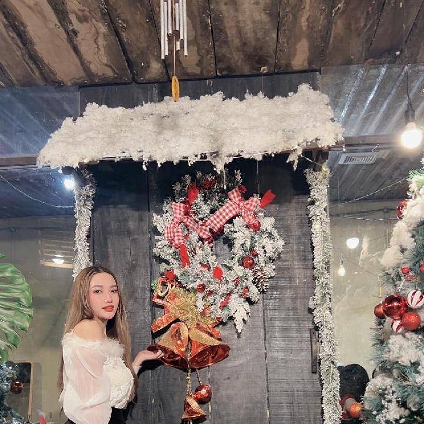 Xiao_Vy