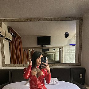 mounier Completamente Natural escort in Dublin offers Beijo francês services