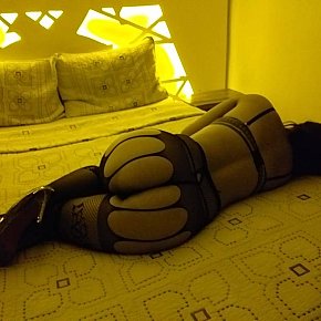 Alisson Mignonă escort in Bogota offers Handjob services