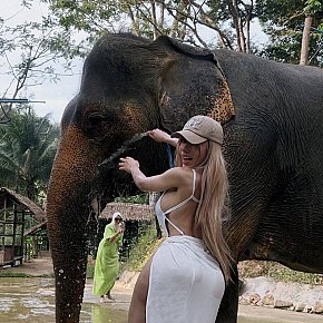 Maria-Delanox Super-culo escort in Dubai