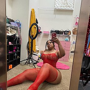 Mistress-Alicia Super-culo escort in Doha offers 69 Position services
