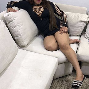 Celia Vip Escort escort in 