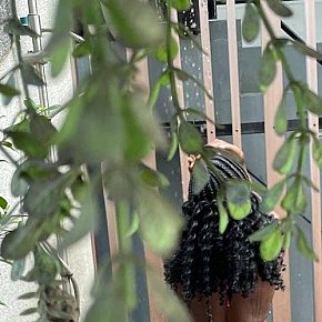 Brittah Posterior Mare escort in 