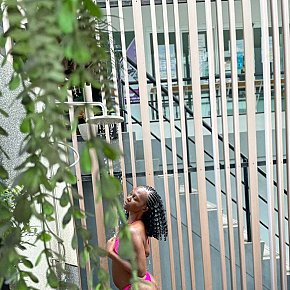 Brittah Posterior Mare escort in 