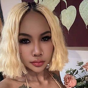 Jade Fitness Girl
 escort in Koh Samui