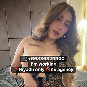 Mickey escort in Riyadh offers Sexo en diferentes posturas
 services