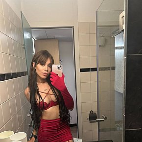 Serena Petite escort in  offers Tittenfick services