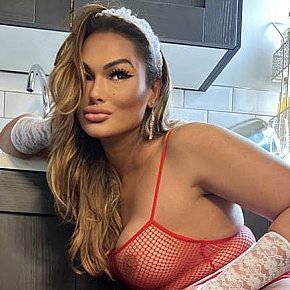 Wanessa-silva Vip Escort escort in Dublin
