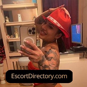 Elena Petite
 escort in Vienna offers Masturbate services