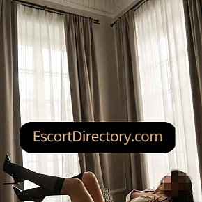 Bella Vip Escort escort in  offers Venida en el cuerpo (COB)
 services