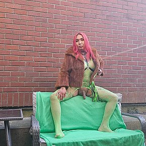 Annabelle escort in Calgary offers Pipe avec capote services