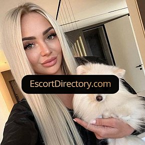 Elizabeth Vip Escort escort in Milan offers Erotic massage services