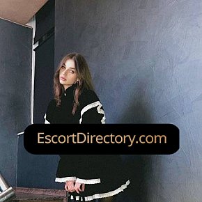 Danix Vip Escort escort in London offers Titjob services
