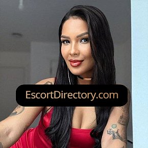 Lina Vip Escort escort in Manchester offers 69 Position services